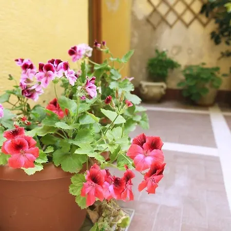 Orfani Apartment Trapani